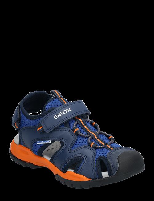 GEOX | J Borealis Boy C | 33
