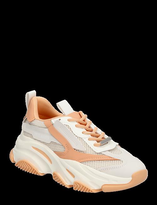 Steve Madden | Possession-E | 42