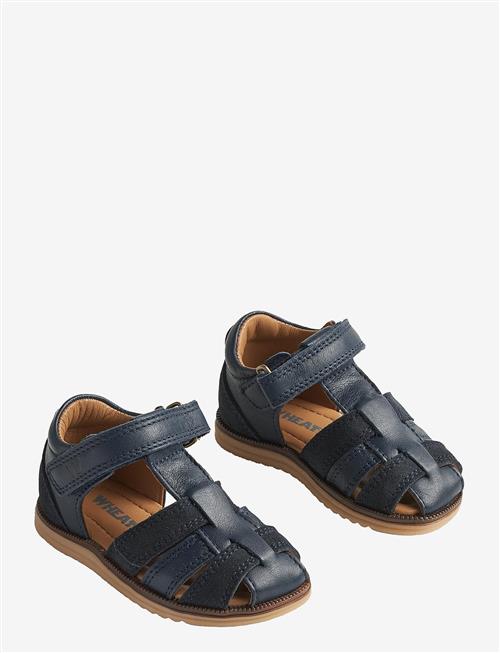 Wheat | Sandal Sky | 20