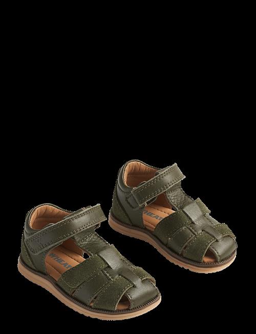 Wheat | Sandal Sky | 26