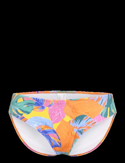 Freya | Aloha Coast Bikini Brief | XL