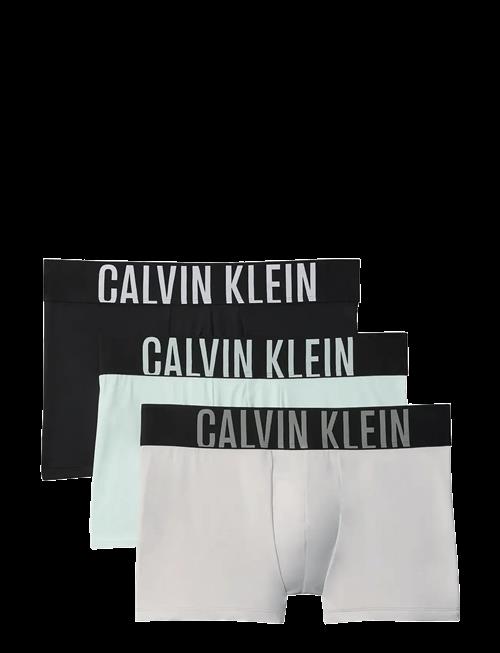 Calvin Klein | Trunk 3Pk | L