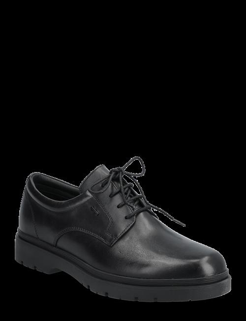 GEOX | U Spherica Ec1 B Abx | 45