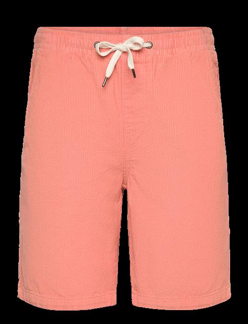 Lindbergh | Corduroy Shorts | XXXL