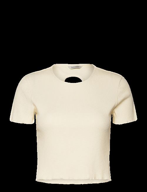 HOLZWEILER | Tree Cropped Tee | XL