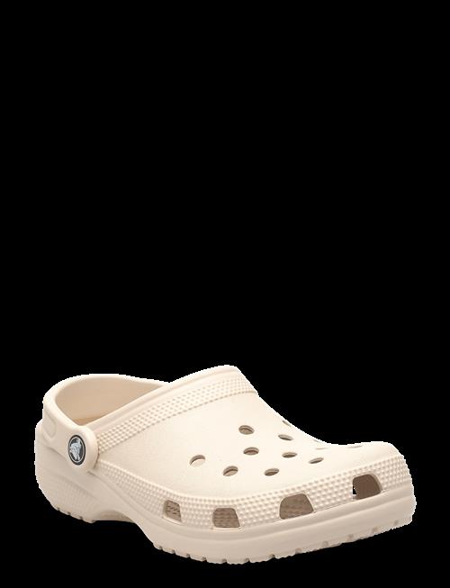 Crocs | Classic | 43/44