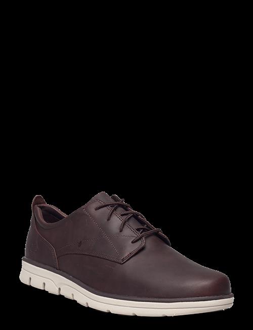 Timberland | Bradstreet Low Lace Up Sneaker Soil | 45