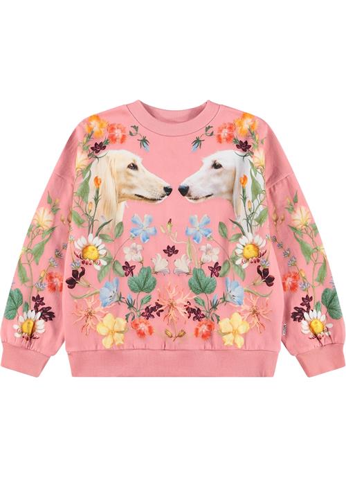 Molo Maxi Sweat Shirt Afghan Hounds Afghan Hounds 98 cm  Lyserød  98 cm  Piger