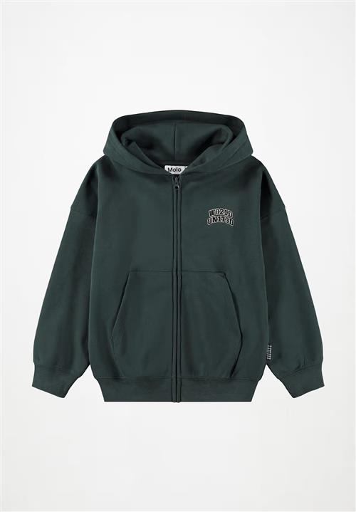 Molo Marley Hoodie Taxus Taxus 122 cm  Grøn  122 cm  Drenge