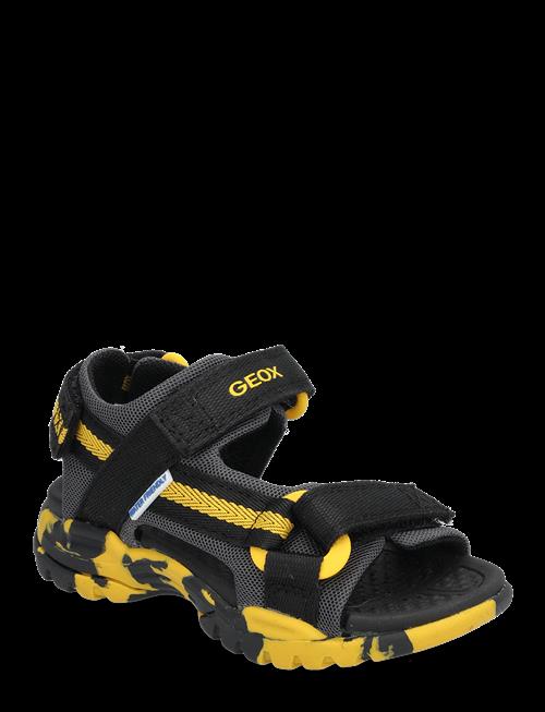 GEOX | J Borealis Boy E | 25