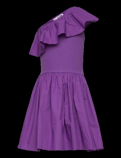 Molo | Chloey | 98-104