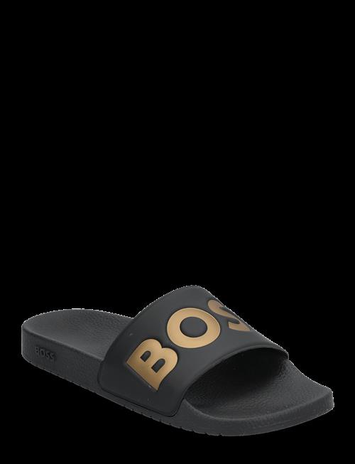BOSS | Aryeh_Slid_Npvlg | 40