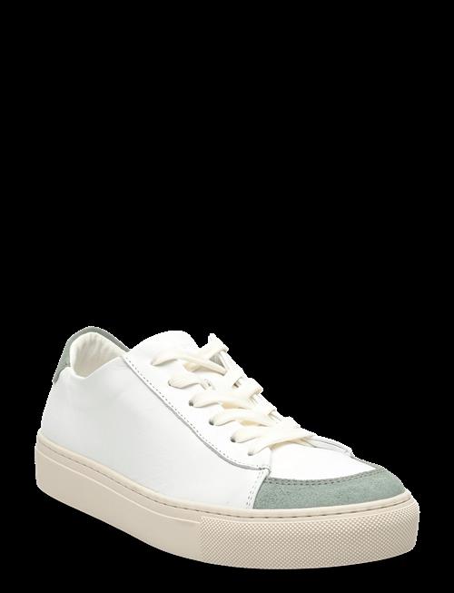Sneaky Steve | Nagore U White | 39