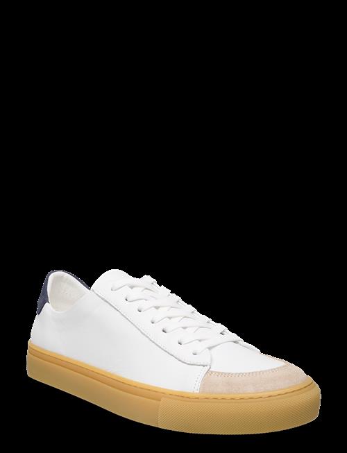 Sneaky Steve | Nagore U White | 41
