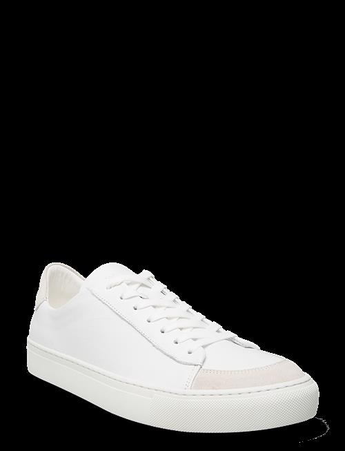 Sneaky Steve | Nagore U White | 44