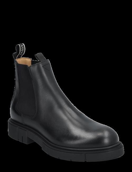 Sneaky Steve | Cashville U Brown | 36