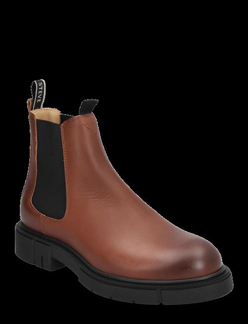 Sneaky Steve | Cashville U Cognac | 36