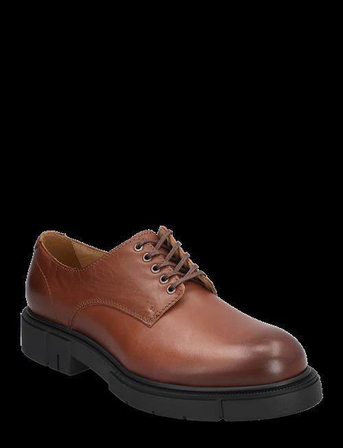 Sneaky Steve | Denver U Black | 36