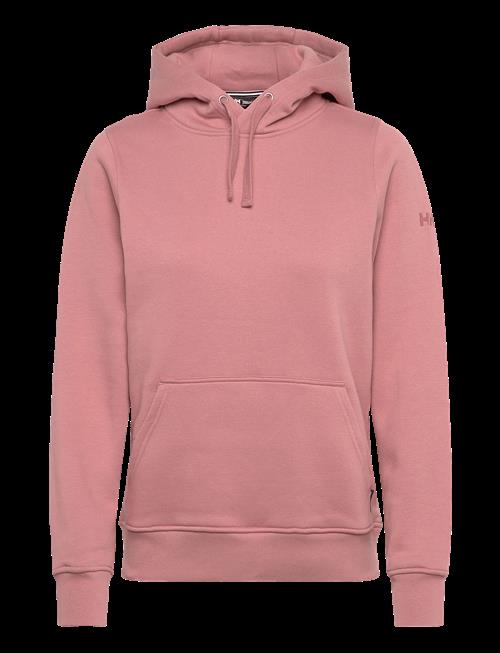 Helly Hansen | W Elevate Hoodie | M