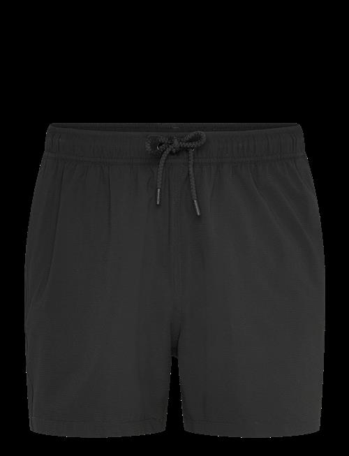 Björn Borg | Borg Seersucker Swim Shorts | S
