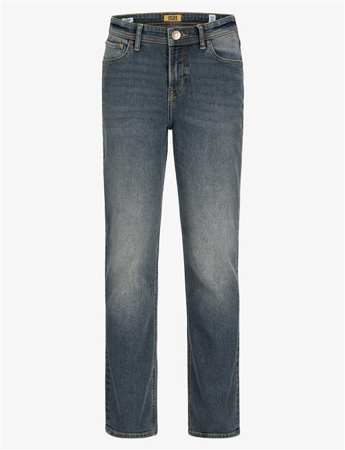 Jack & Jones | Jjiclark Jjoriginal Akm 049 Noos Jnr | 176