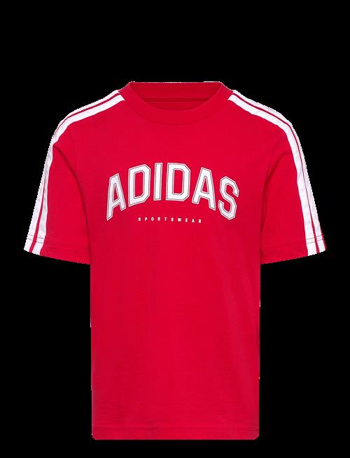adidas Sportswear | J C Colleg Tee | 164