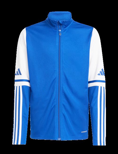 adidas Performance | Sq25 Tr Jkt Y | 164