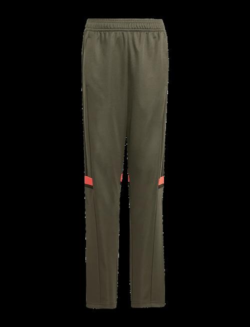 adidas Performance | Sq25 Tr Pnt Y | 164
