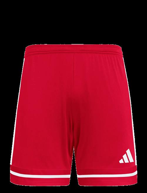 adidas Performance | Squa25 Sho M | L