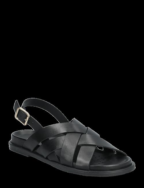 GEOX | D Adelash A | 37