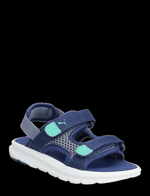 PUMA | Puma Evolve Sandal Ps | 29