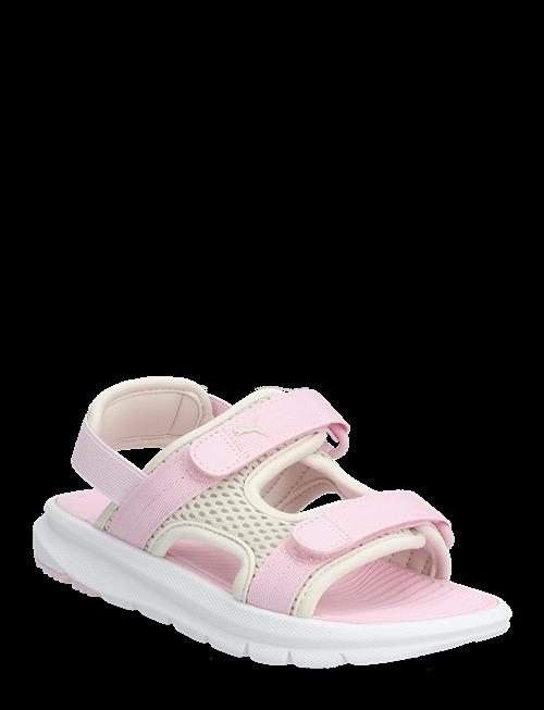PUMA | Puma Evolve Sandal Ps | 29