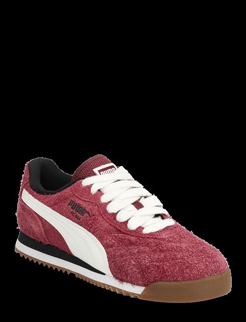 PUMA | Roma Anniversario Suede | 40.5