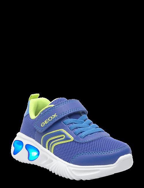 GEOX | J Assister Boy C | 34
