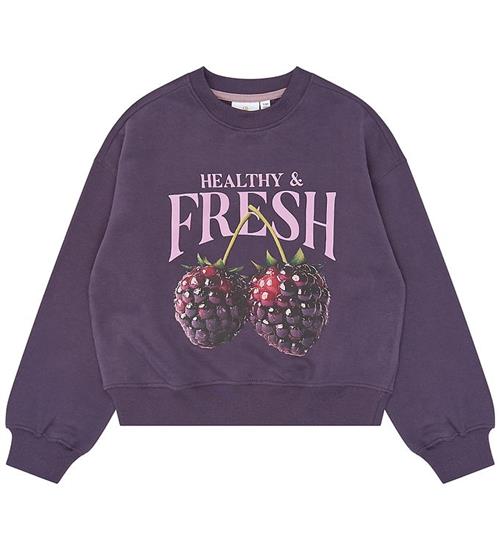 The New Sweatshirt - TnVianca - Sweet Grape