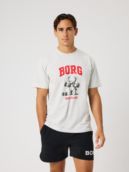 Björn Borg Borg Classic Print T-shirt Grå, XL