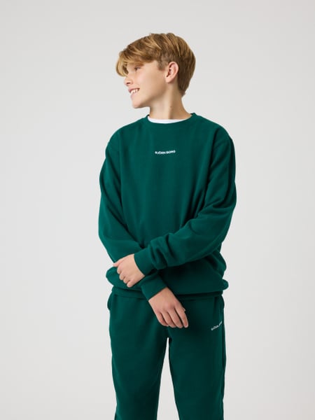 Björn Borg Borg Classic Sweatshirt Grøn, 146-152