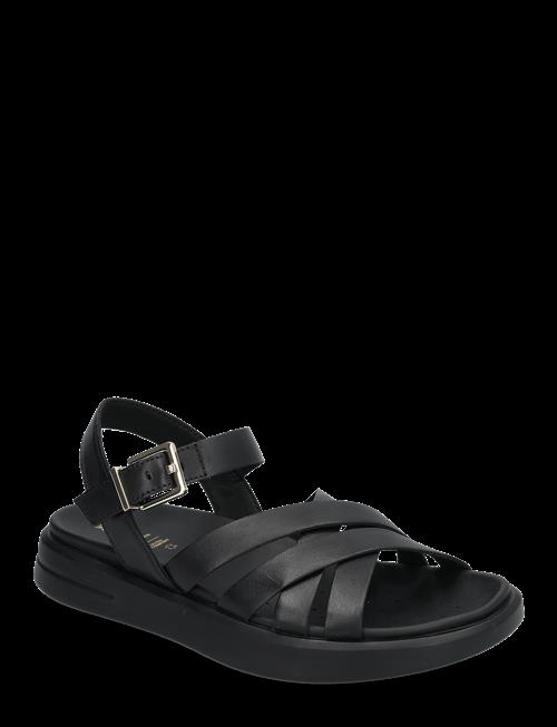 GEOX | D Xand 2S B | 38