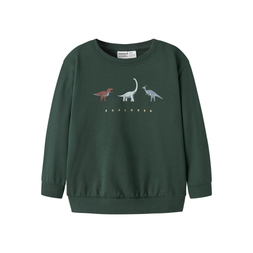 NAME IT Sweatshirt Nilius Sycamore