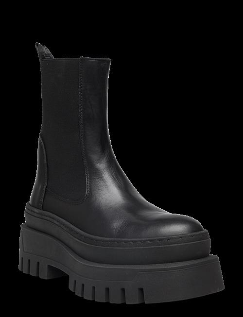Steve Madden | Cassandra | 41