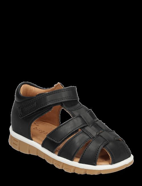 Bisgaard | Bisgaard Angus | 26/16.3CM