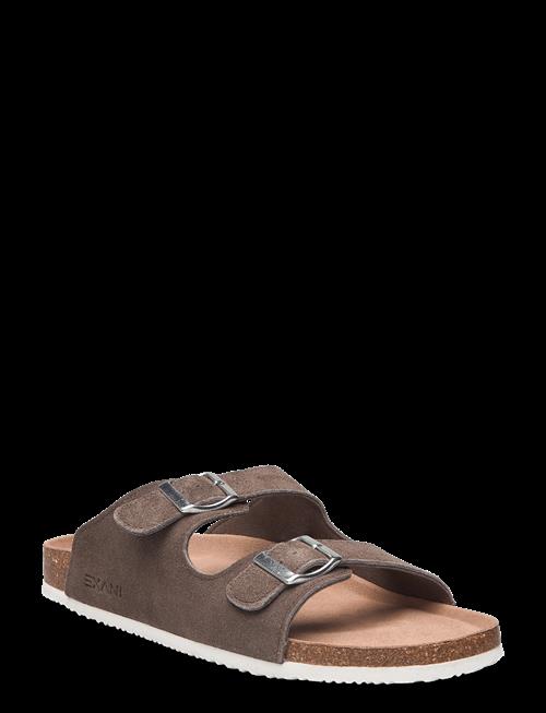 Exani | Spectra Suede M | 43