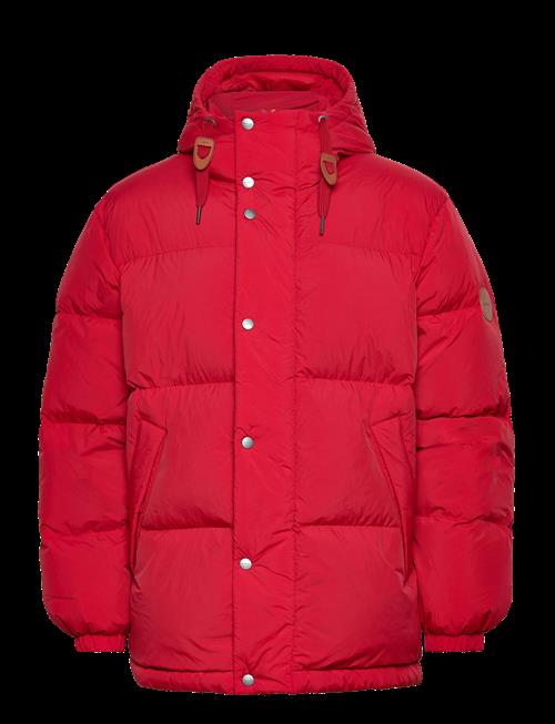 Gant | Winter Down Puffer | L