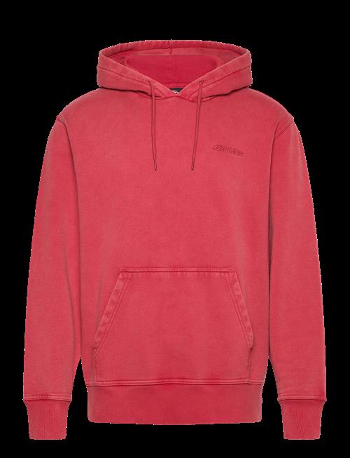 Dickies | Plentywood Hoodie | M