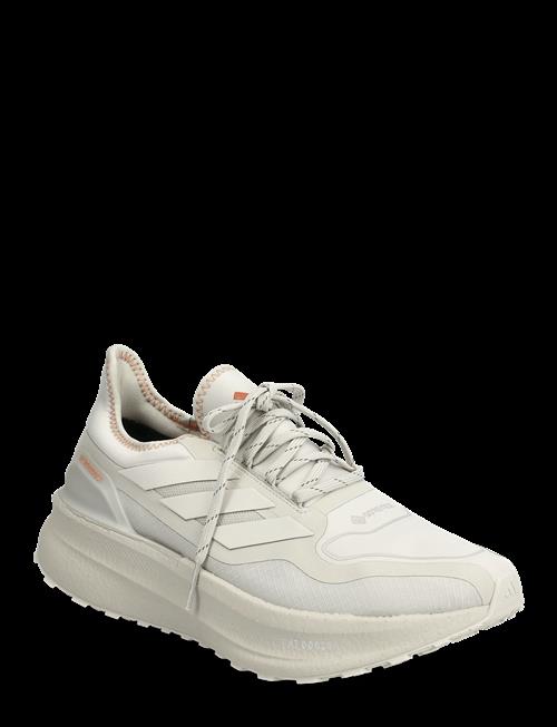 adidas Performance | Ultraboost 5 Gtx | 43 1/3