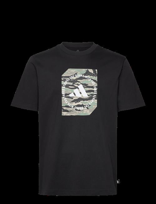 adidas Sportswear | M C Camo Box T | L