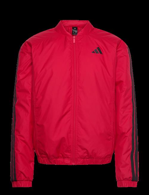 adidas Sportswear | Ess 3S Ins B J | M