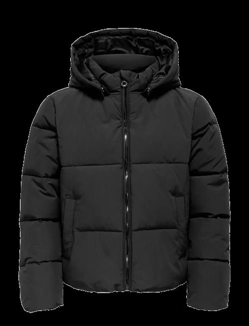 Kids Only | Kogdolly Life Sht Puffer Jacket Otw Noos | 128