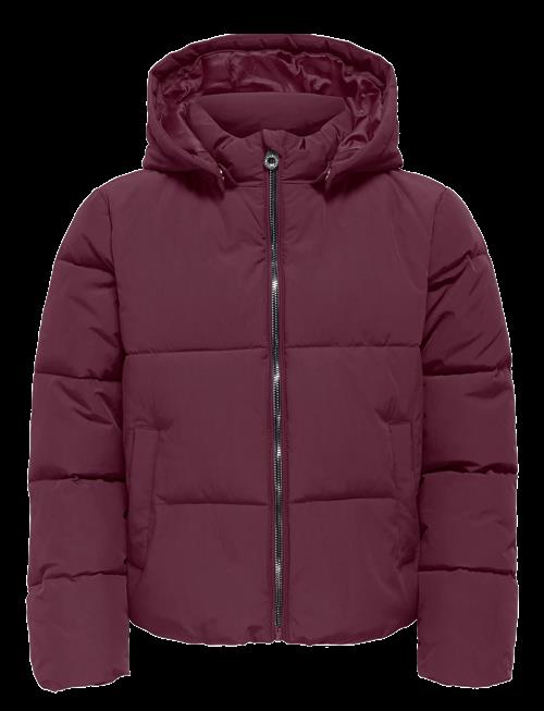 Kids Only | Kogdolly Life Sht Puffer Jacket Otw Noos | 140