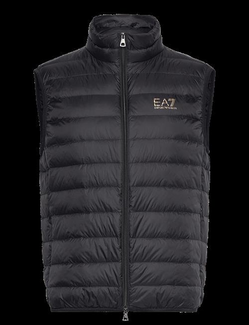 EA7 | Down Waistcoat | XXXL